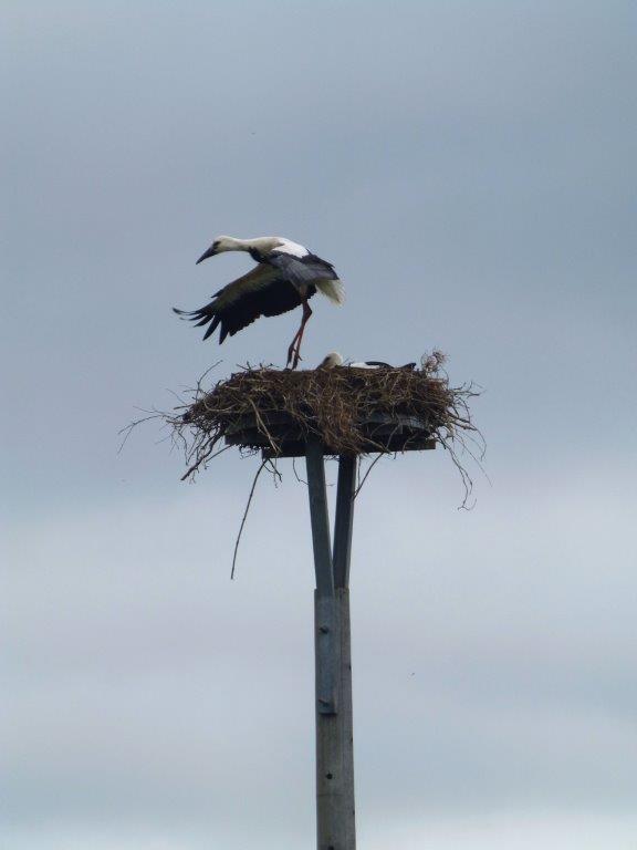 Erste Flugversuche 2014