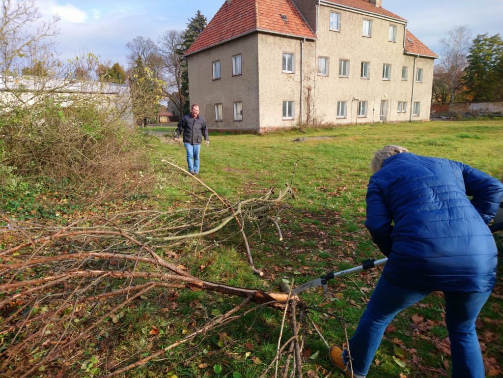 Streuobstwiese