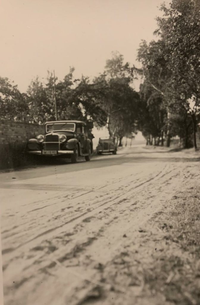 Foto von Elke Greger, Weinberg alt