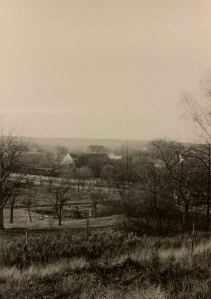 Foto von Elke Greger Weinberg alt