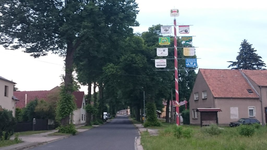 Dorfentwicklung - Die Liebenwerdaer Straße in Theisa von Bäumen gesäumt