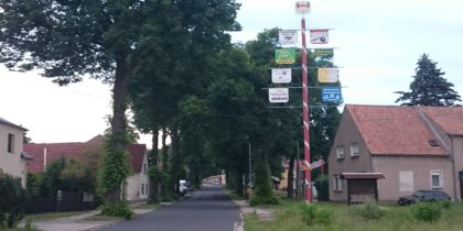 Dorfentwicklung - Die Liebenwerdaer Straße in Theisa von Bäumen gesäumt