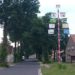 Dorfentwicklung - Die Liebenwerdaer Straße in Theisa von Bäumen gesäumt