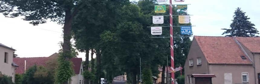 Dorfentwicklung - Die Liebenwerdaer Straße in Theisa von Bäumen gesäumt
